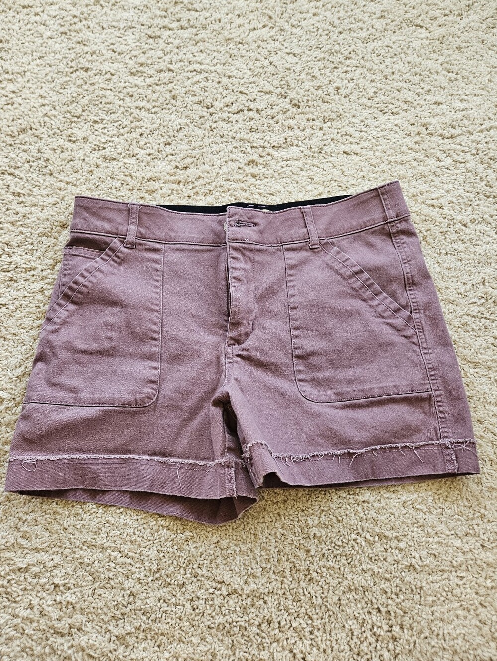 Democracy "Ab" Technology Shorts